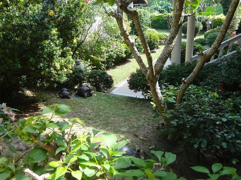 Holiday Village And Natural Garden Resort Phuket Eksteriør billede